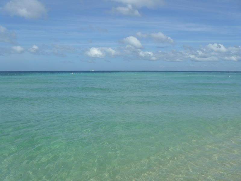 ai1190.photobucket.com_albums_z456_nmsilva_SAM_0325_800x600.jpg