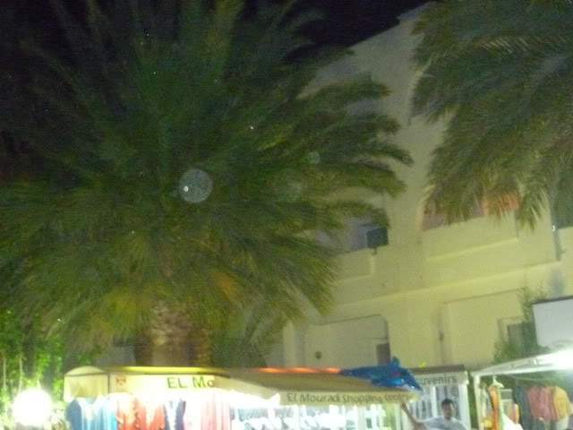 ai1191.photobucket.com_albums_z479_Spinosa1981_P1000970.jpg