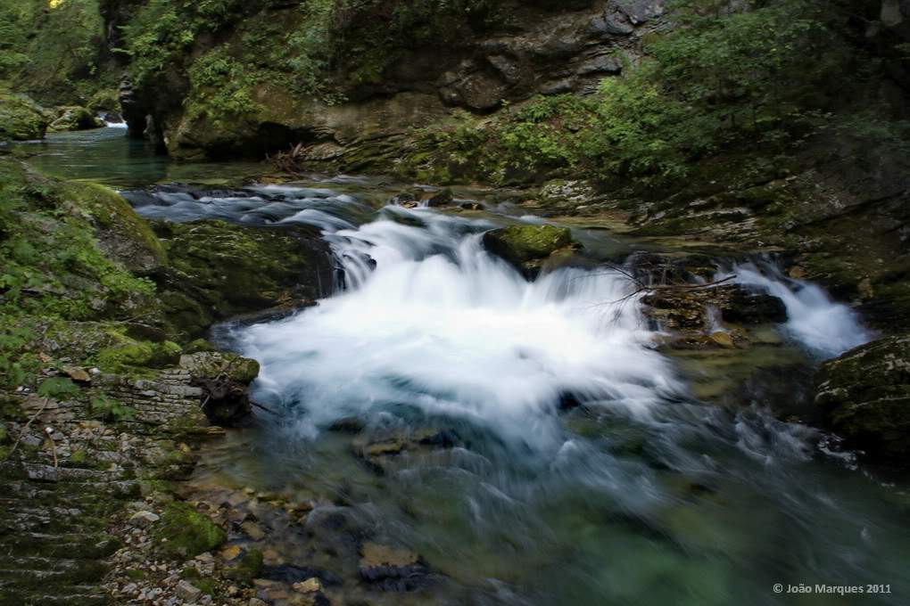 ai1196.photobucket.com_albums_aa417_jpmvint__MG_6599.jpg