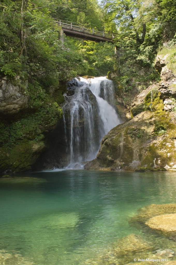 ai1196.photobucket.com_albums_aa417_jpmvint__MG_6653.jpg