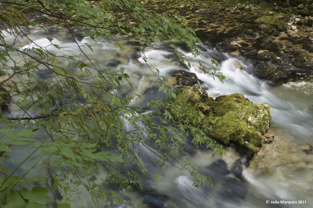 ai1196.photobucket.com_albums_aa417_jpmvint__MG_6685.jpg