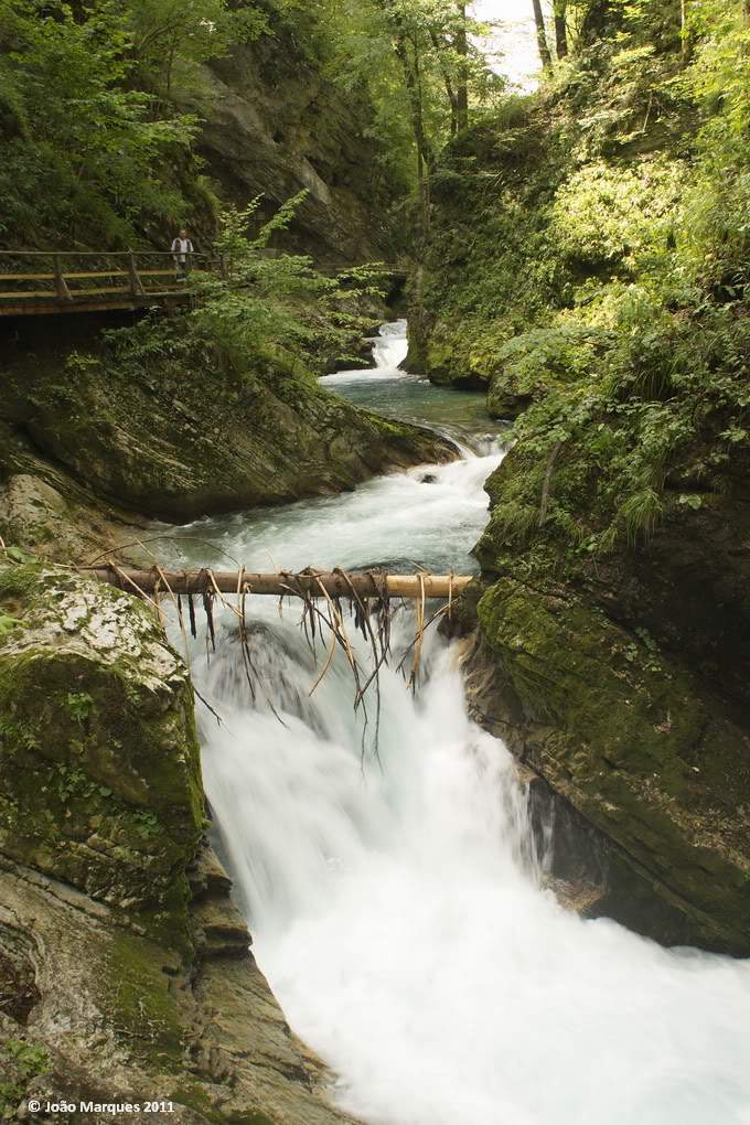 ai1196.photobucket.com_albums_aa417_jpmvint__MG_6698.jpg