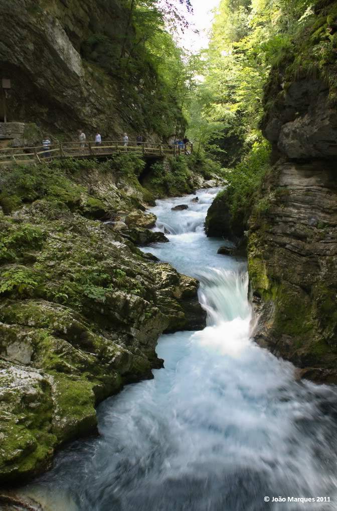 ai1196.photobucket.com_albums_aa417_jpmvint__MG_6702.jpg