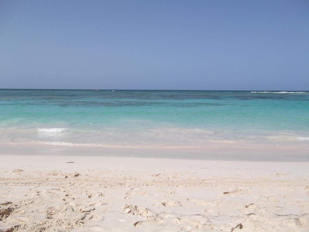 ai1199.photobucket.com_albums_aa466_RodmanPT_Punta_20Cana_202013_DSCF1141.jpg