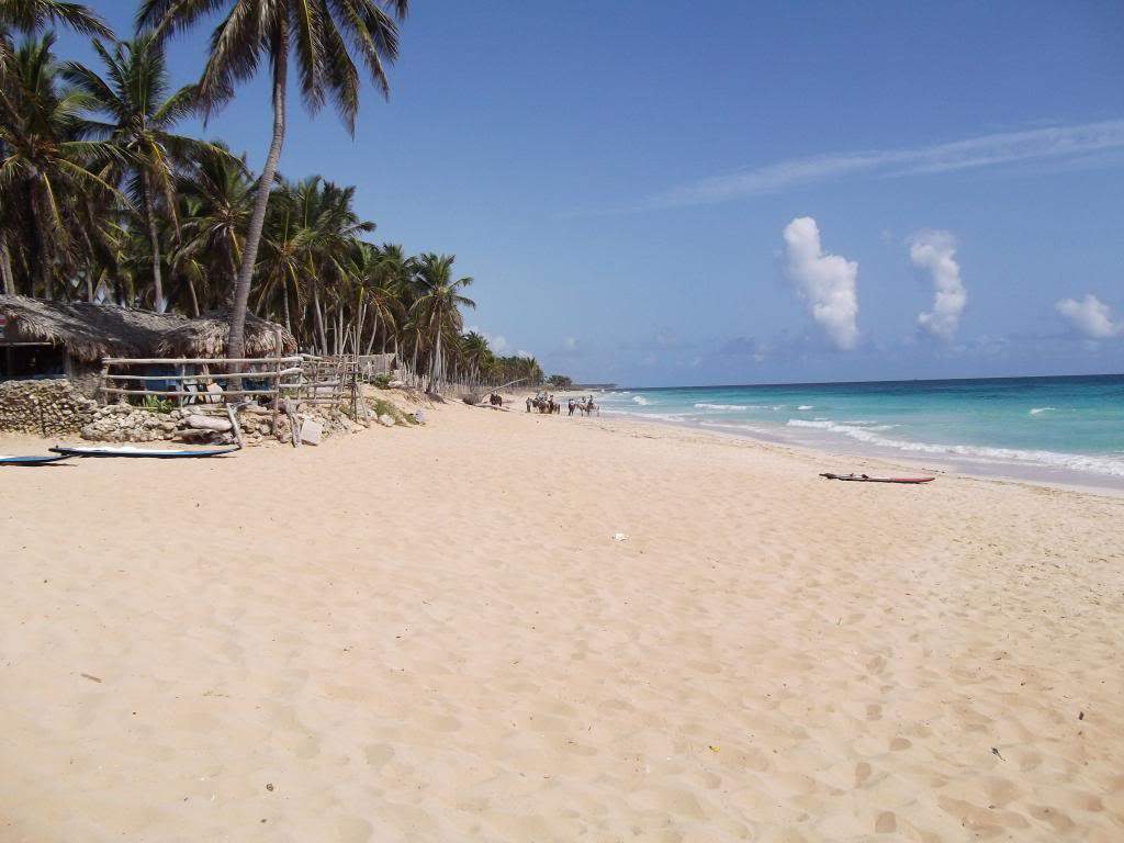 ai1199.photobucket.com_albums_aa466_RodmanPT_Punta_20Cana_202013_DSCF1172.jpg