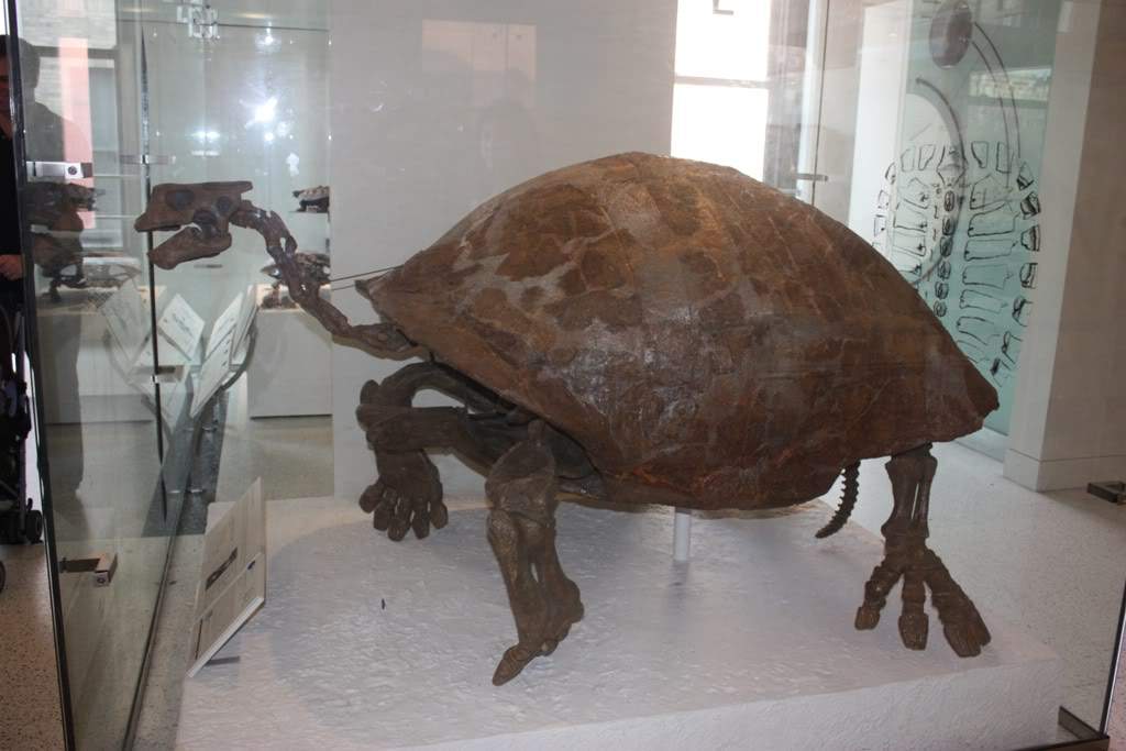 ai1200.photobucket.com_albums_bb329_RuiMSa_NovaIorque_NovaIorqueDia31_Dia31_1_IMG_4659.jpg