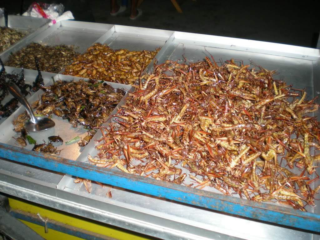 ai1209.photobucket.com_albums_cc391_gogowrc_TAILANDIA_DSCN0774.jpg