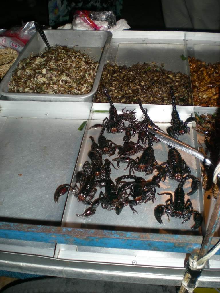 ai1209.photobucket.com_albums_cc391_gogowrc_TAILANDIA_DSCN0775.jpg