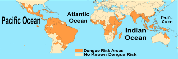 ai1213.photobucket.com_albums_cc466_LEONELMACEDA_Dengue.png