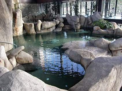 ai1213.photobucket.com_albums_cc466_LEONELMACEDA_piscina.jpg