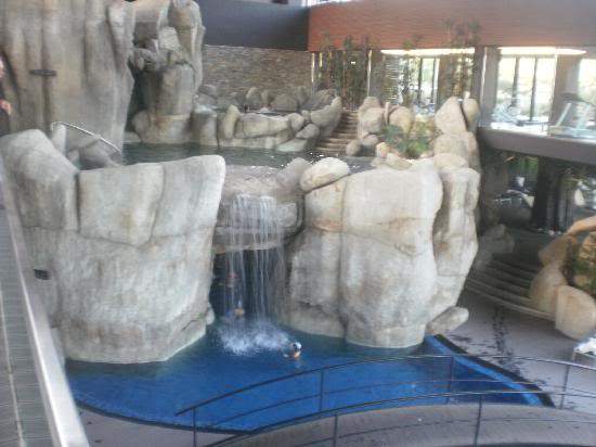 ai1213.photobucket.com_albums_cc466_LEONELMACEDA_piscinas.jpg