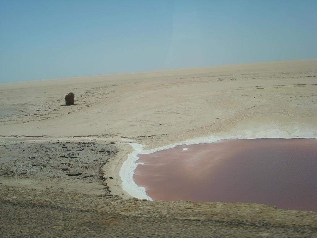 ai1220.photobucket.com_albums_dd451_Teresa_Raquel_Tunisia_203_20Dia_LagoSalgadodeChottElDjerid2.jpg