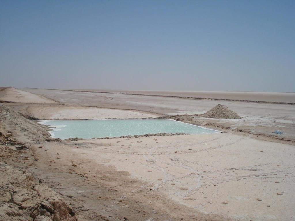 ai1220.photobucket.com_albums_dd451_Teresa_Raquel_Tunisia_203_20Dia_LagoSalgadodeChottElDjerid8.jpg