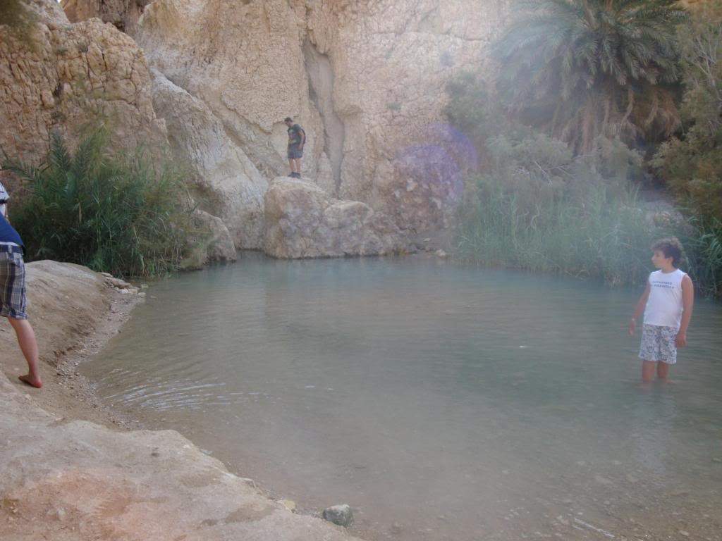 ai1220.photobucket.com_albums_dd451_Teresa_Raquel_Tunisia_203_20Dia_OsisMontanhaChebika10.jpg