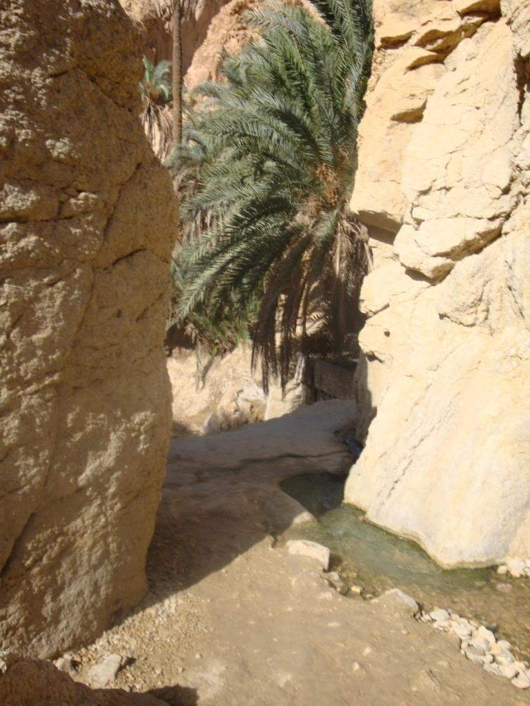 ai1220.photobucket.com_albums_dd451_Teresa_Raquel_Tunisia_203_20Dia_OsisMontanhaChebika16.jpg
