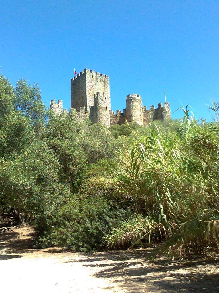 ai1229.photobucket.com_albums_ee475_blueorquidea_almourol_Fotografia0075.jpg