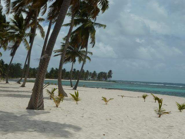ai1235.photobucket.com_albums_ff427_brunoazevedo55_Viagens_Punta_20Cana_202013_P1050974.jpg