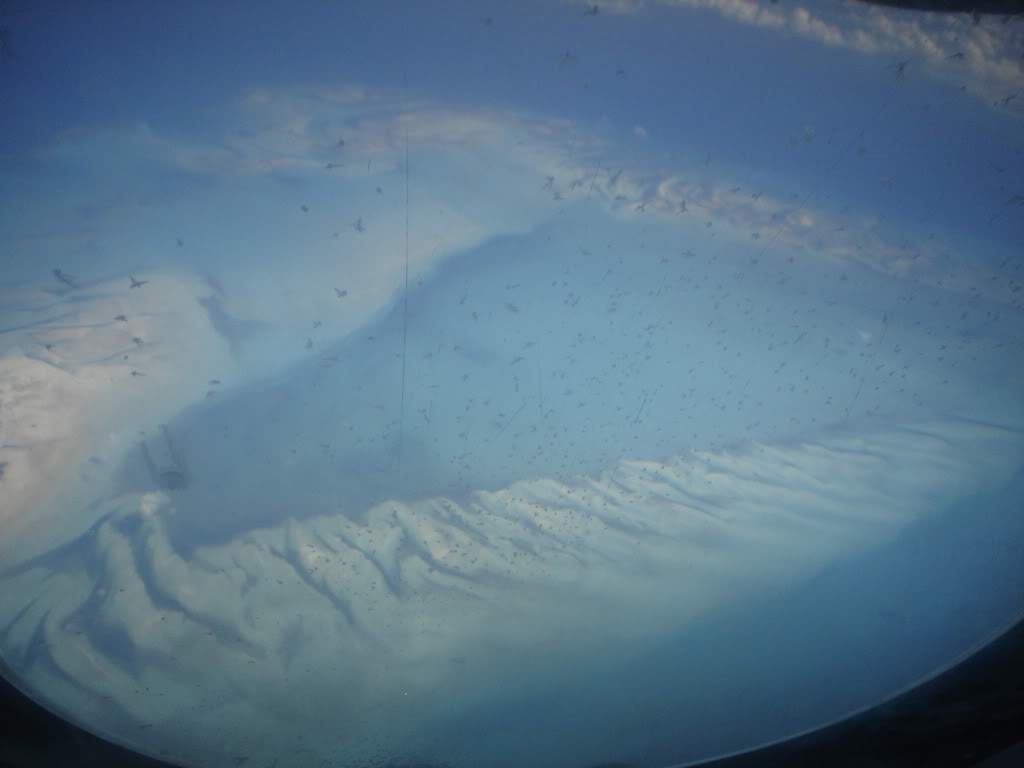 ai1237.photobucket.com_albums_ff464_CarpeDiemMan_DSC00033.jpg