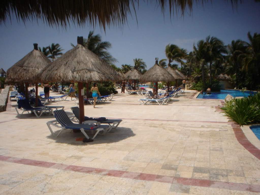 ai1237.photobucket.com_albums_ff464_CarpeDiemMan_DSC00078.jpg