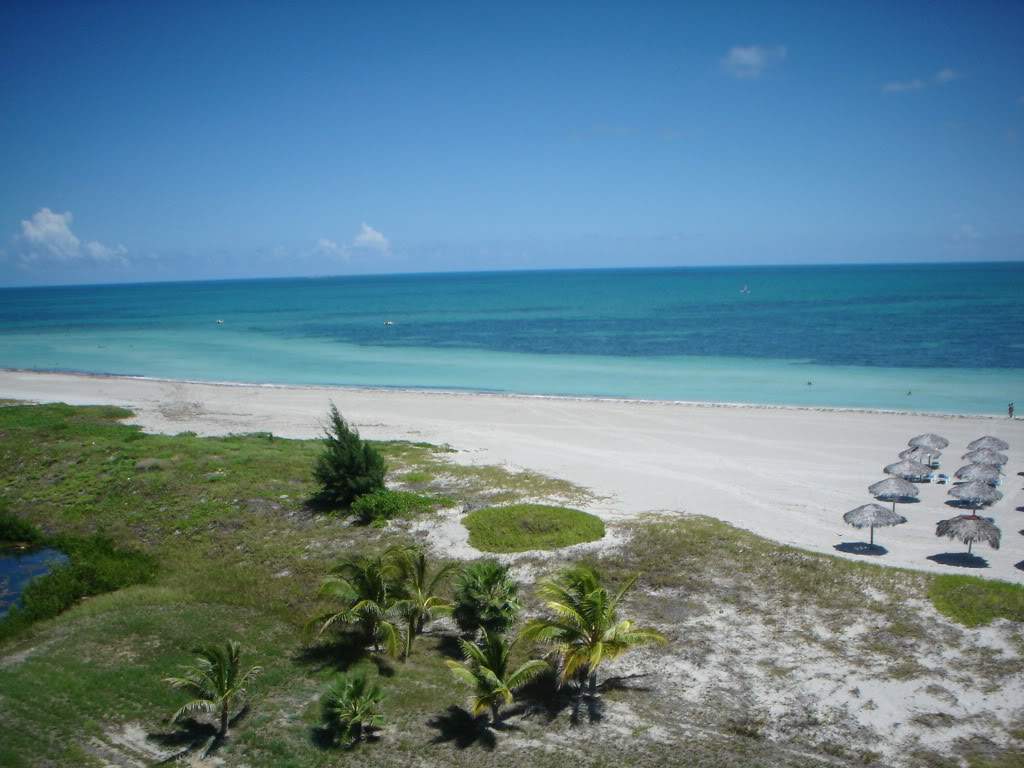 ai1237.photobucket.com_albums_ff464_CarpeDiemMan_DSC00108.jpg