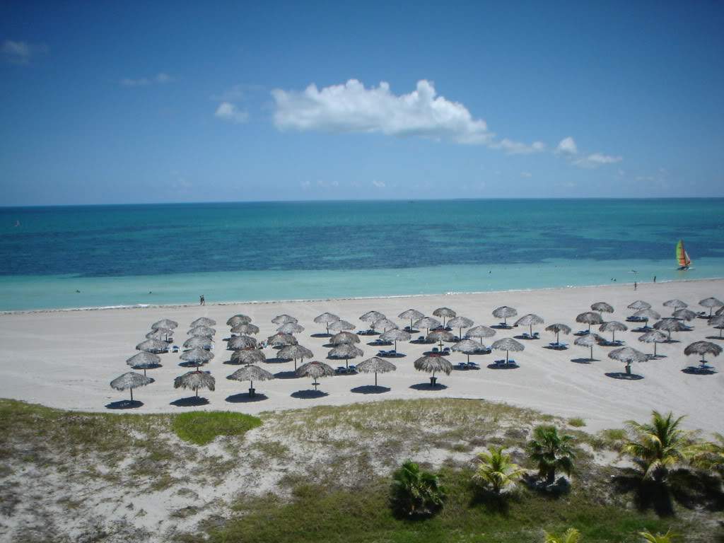 ai1237.photobucket.com_albums_ff464_CarpeDiemMan_DSC00109.jpg