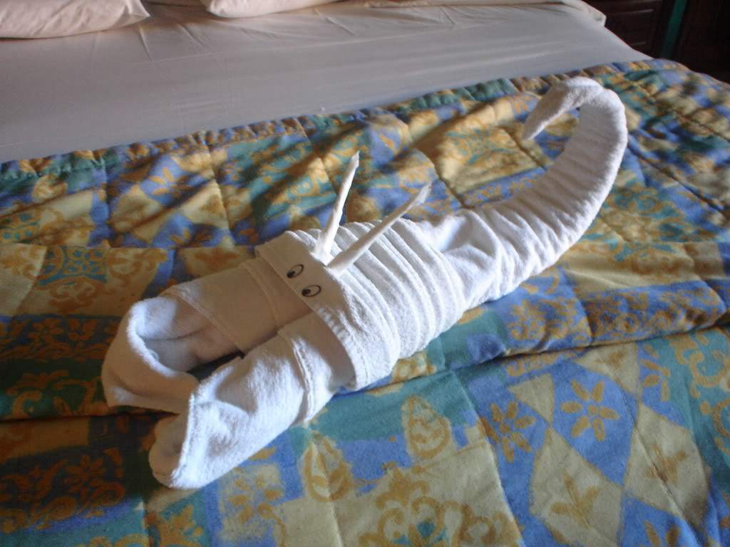 ai1237.photobucket.com_albums_ff464_CarpeDiemMan_DSC00193.jpg
