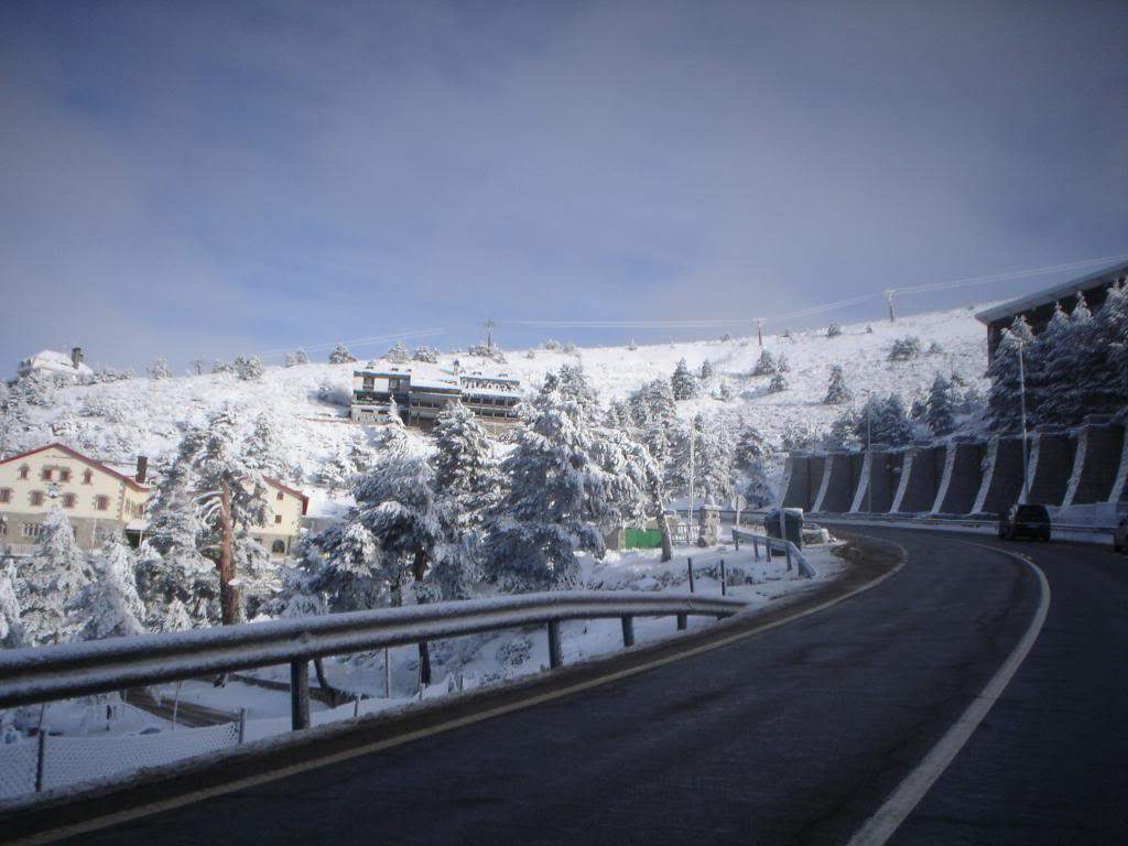 ai1237.photobucket.com_albums_ff464_CarpeDiemMan_DSC04336.jpg