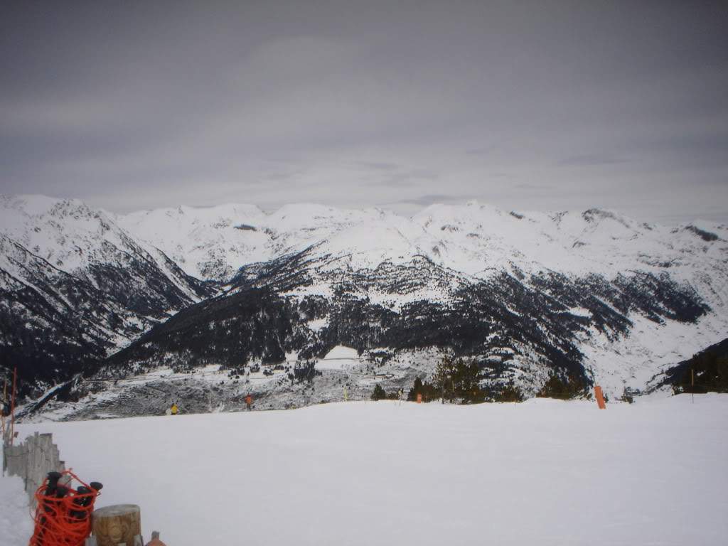 ai1237.photobucket.com_albums_ff464_CarpeDiemMan_DSC05071.jpg