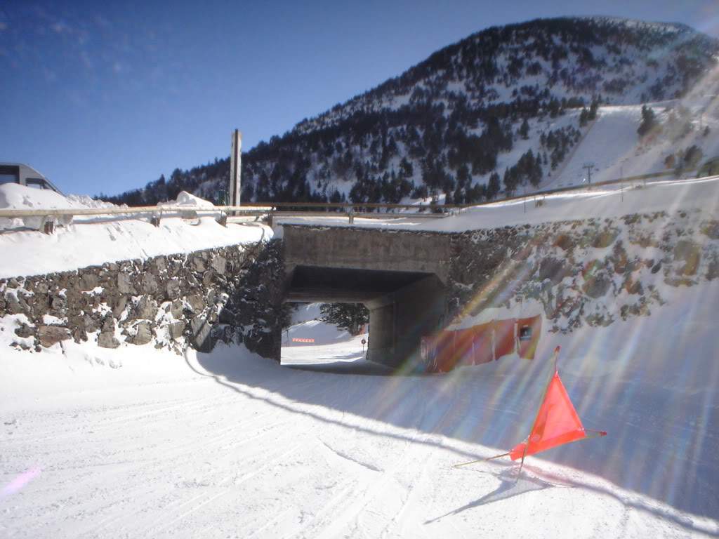 ai1237.photobucket.com_albums_ff464_CarpeDiemMan_DSC05101.jpg