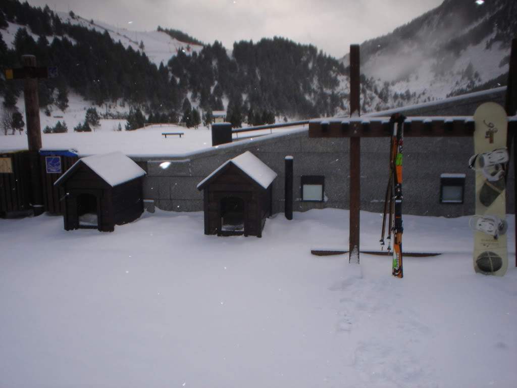 ai1237.photobucket.com_albums_ff464_CarpeDiemMan_DSC05134.jpg