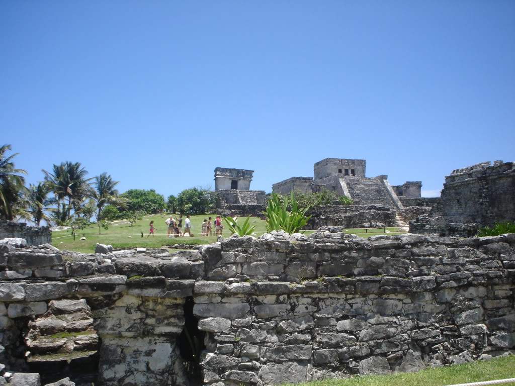 ai1237.photobucket.com_albums_ff464_CarpeDiemMan_DSC05212.jpg