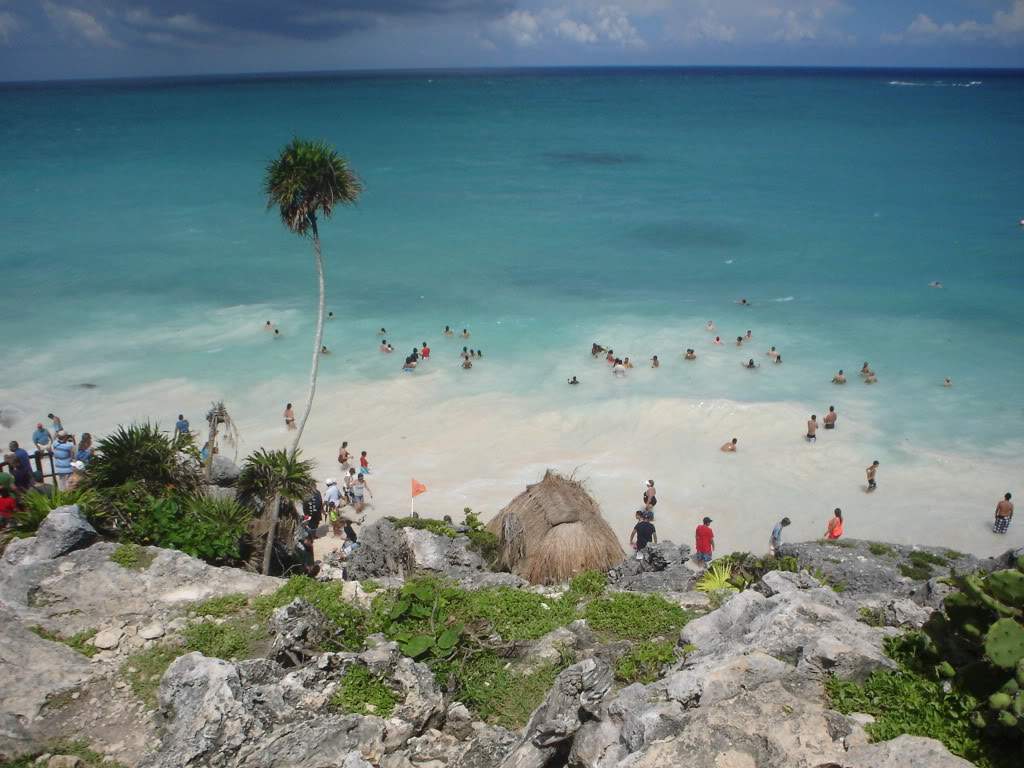 ai1237.photobucket.com_albums_ff464_CarpeDiemMan_DSC05248.jpg