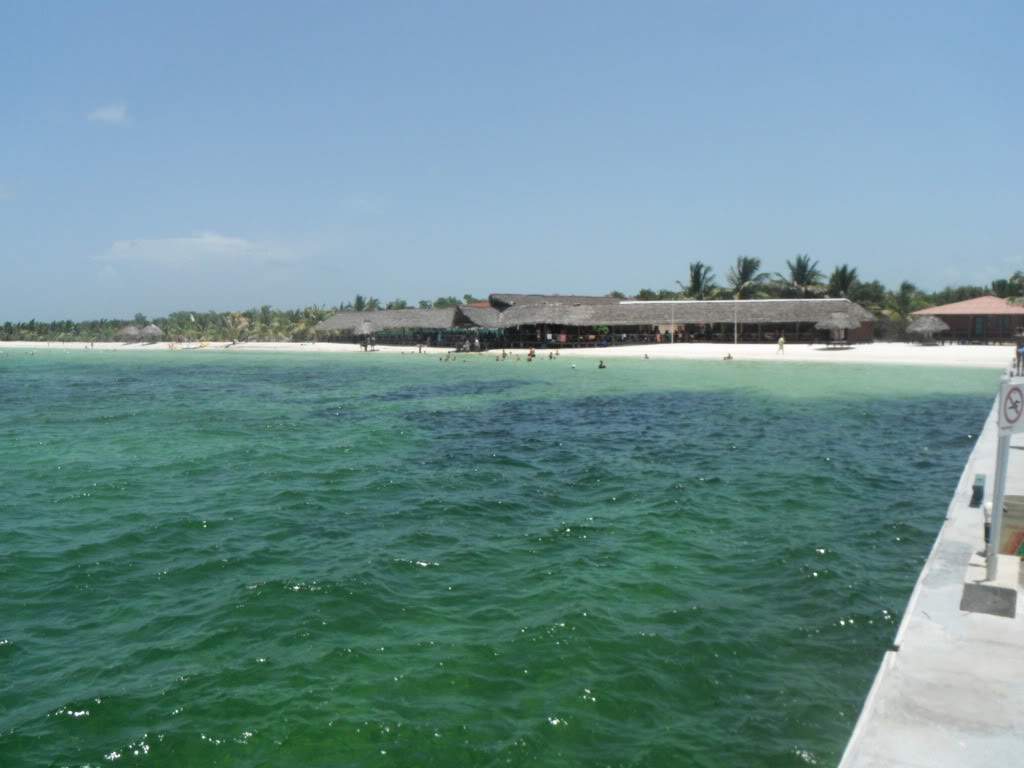 ai1237.photobucket.com_albums_ff464_CarpeDiemMan_DSCF1126.jpg