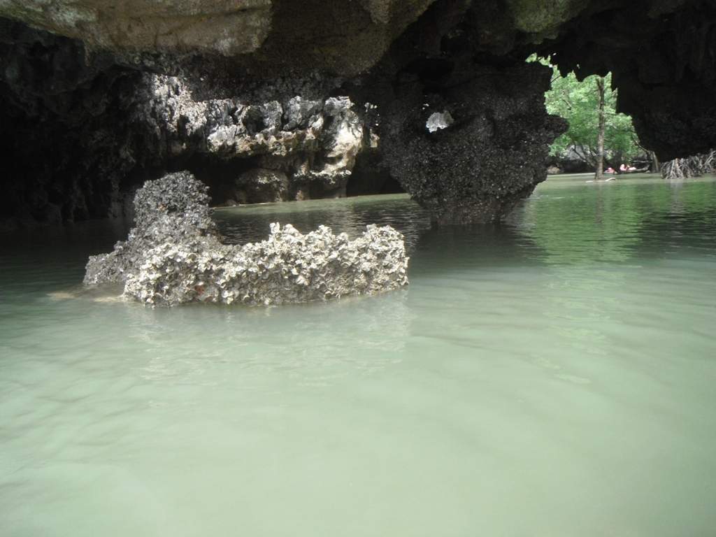 ai1237.photobucket.com_albums_ff464_CarpeDiemMan_Imagem692_zps768c422b.jpg