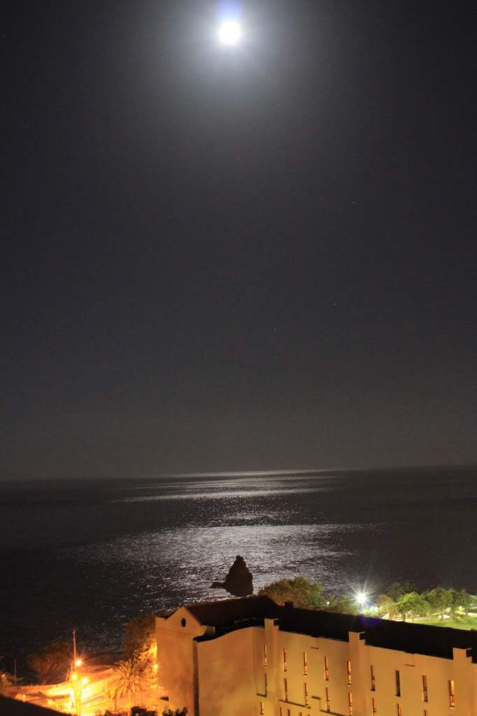 ai1237.photobucket.com_albums_ff464_CarpeDiemMan_IMG_5817.jpg