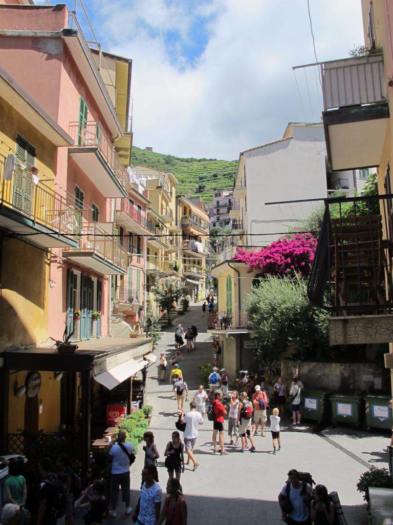 ai1241.photobucket.com_albums_gg510_Mariajcf_cinqueterre_IMG_3648.jpg