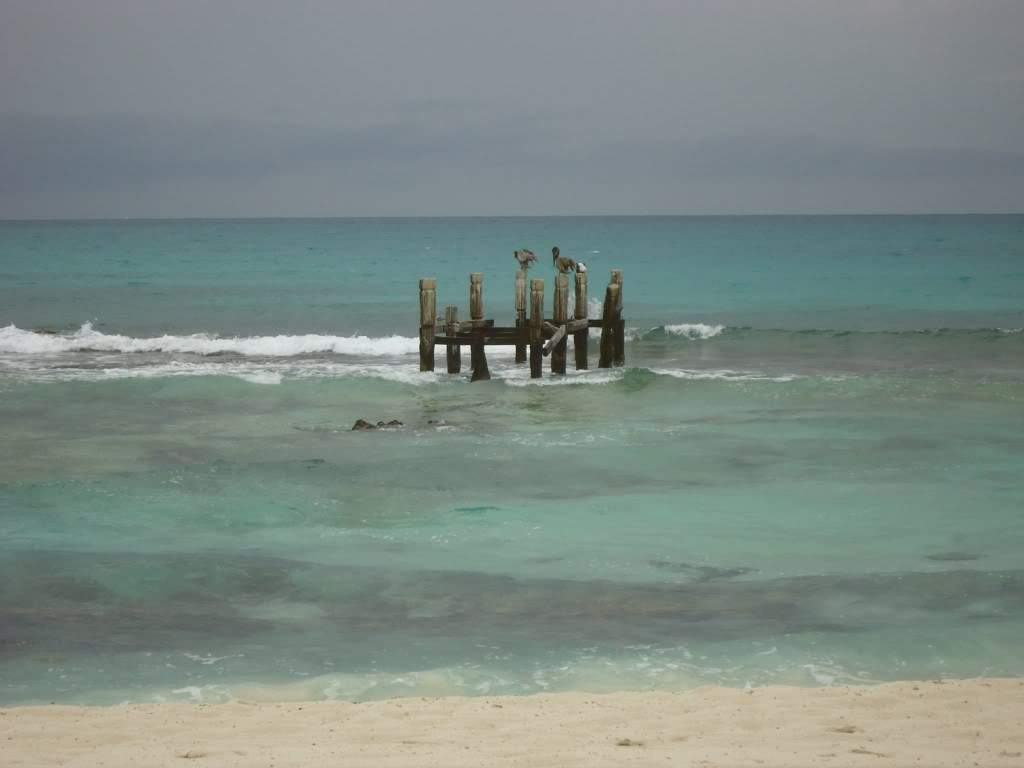 ai1242.photobucket.com_albums_gg525_ruiabs_DSC01603.jpg