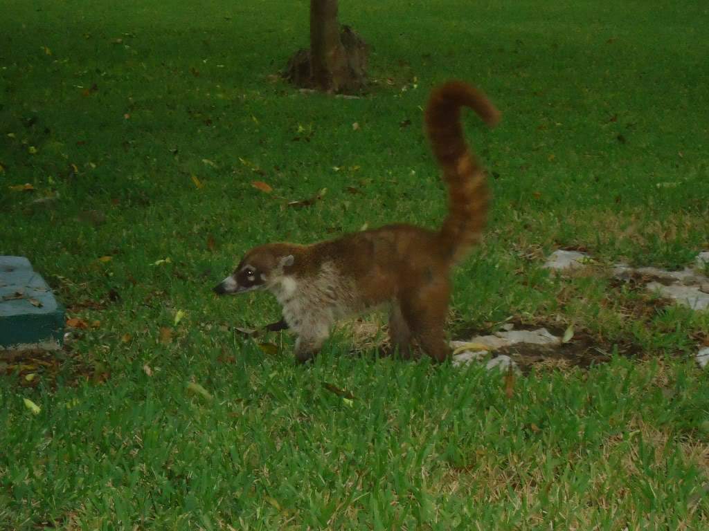 ai1242.photobucket.com_albums_gg525_ruiabs_DSC01640.jpg