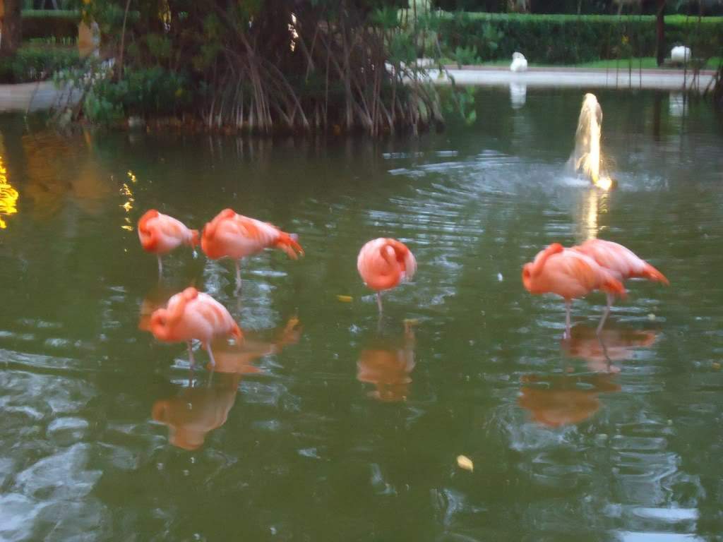 ai1242.photobucket.com_albums_gg525_ruiabs_DSC01643.jpg