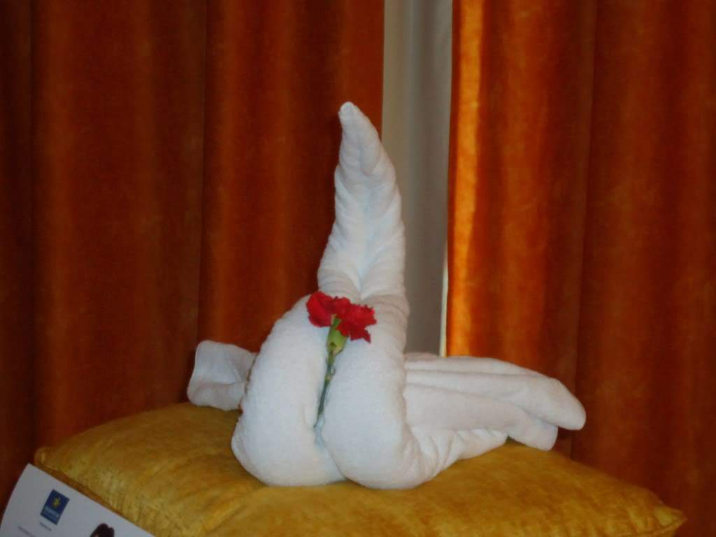 ai1242.photobucket.com_albums_gg525_ruiabs_DSC01696.jpg
