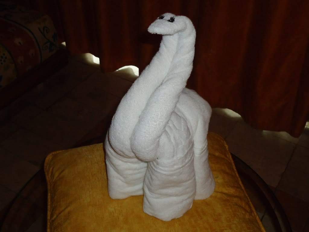 ai1242.photobucket.com_albums_gg525_ruiabs_DSC01857.jpg