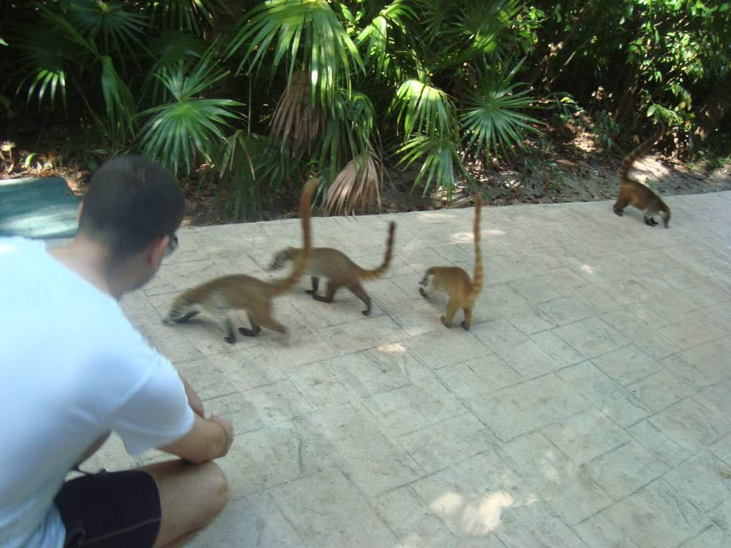 ai1245.photobucket.com_albums_gg591_laroc28_DSC01282.jpg