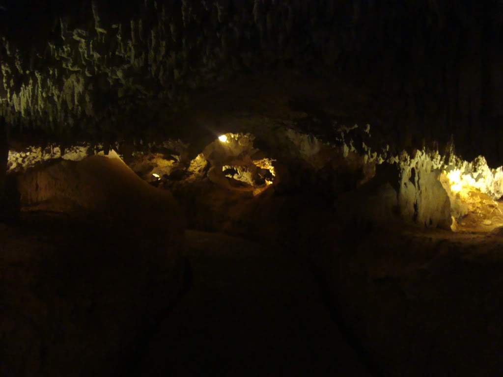 ai1245.photobucket.com_albums_gg591_laroc28_DSC01387.jpg