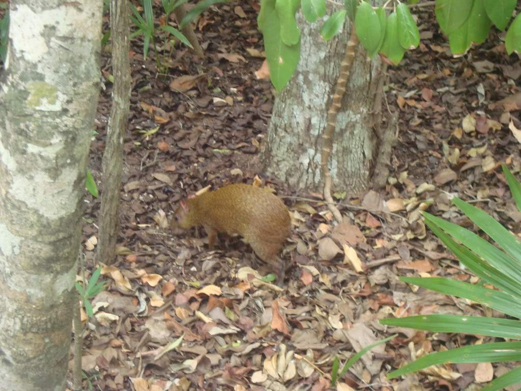 ai1245.photobucket.com_albums_gg591_laroc28_DSC01560.jpg