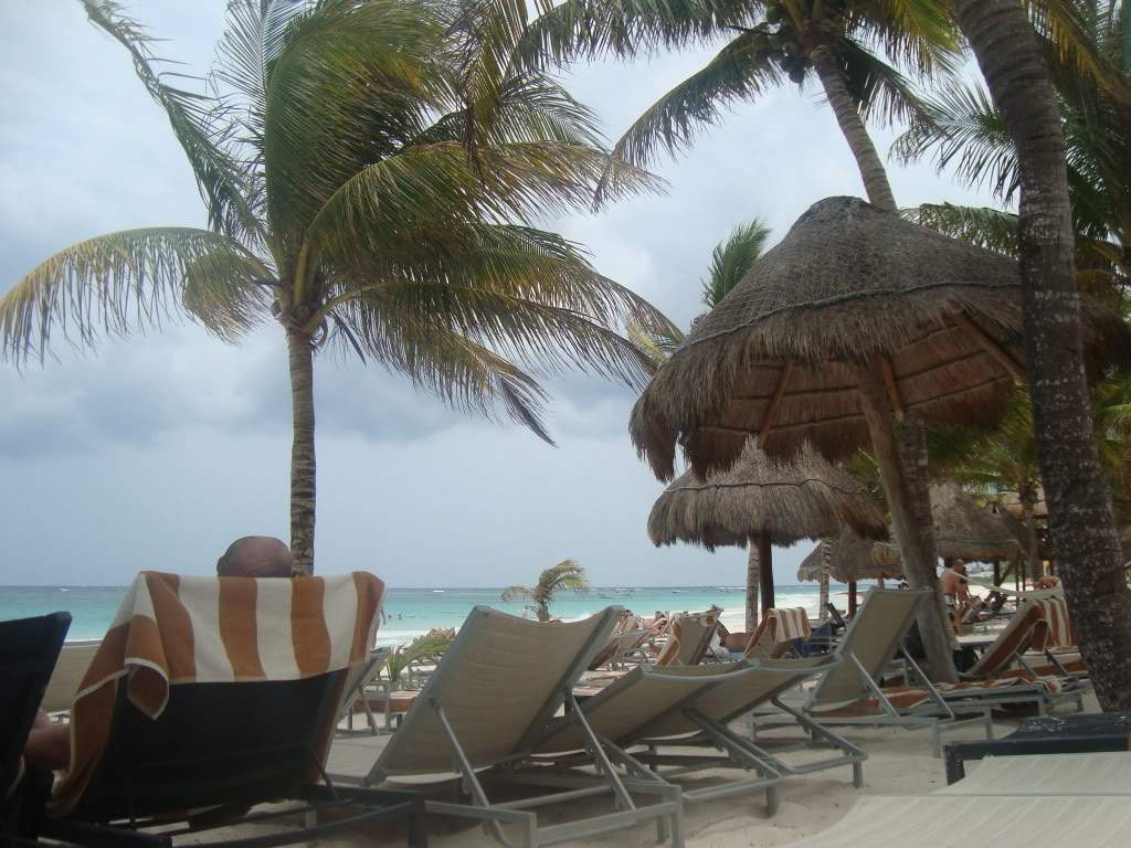 ai1245.photobucket.com_albums_gg591_laroc28_DSC01562.jpg