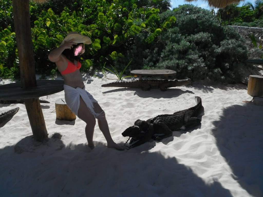ai1245.photobucket.com_albums_gg591_laroc28_DSCF0275_Cpia.jpg