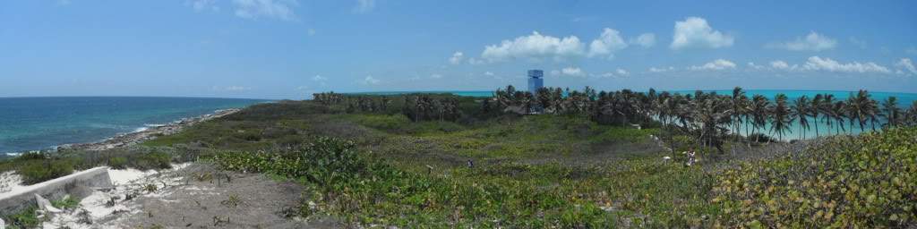 ai1245.photobucket.com_albums_gg591_laroc28_DSCF0437.jpg