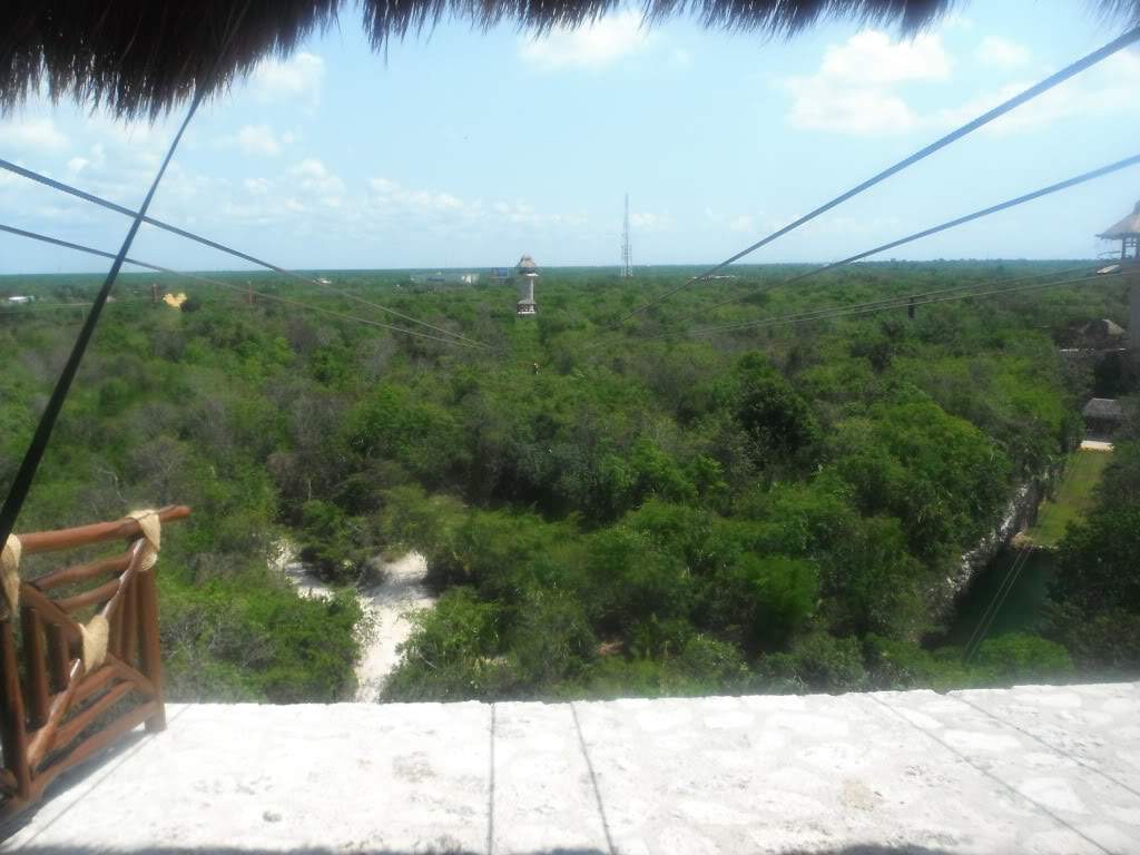 ai1245.photobucket.com_albums_gg591_laroc28_DSCF0747.jpg