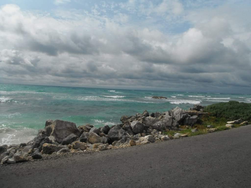ai1245.photobucket.com_albums_gg591_laroc28_DSCF1441.jpg
