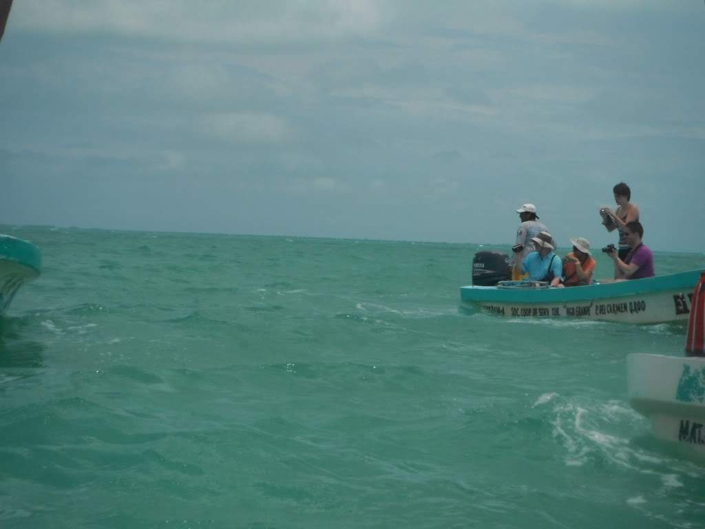 ai1245.photobucket.com_albums_gg591_laroc28_DSCF1498.jpg